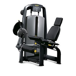 TG Leg Extension with ROM