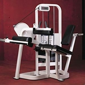 Cybex V2 Seated Leg Curl