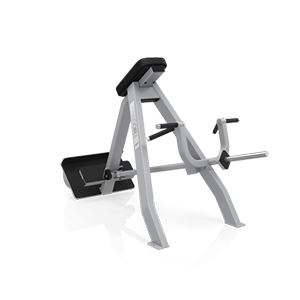 precor lever row