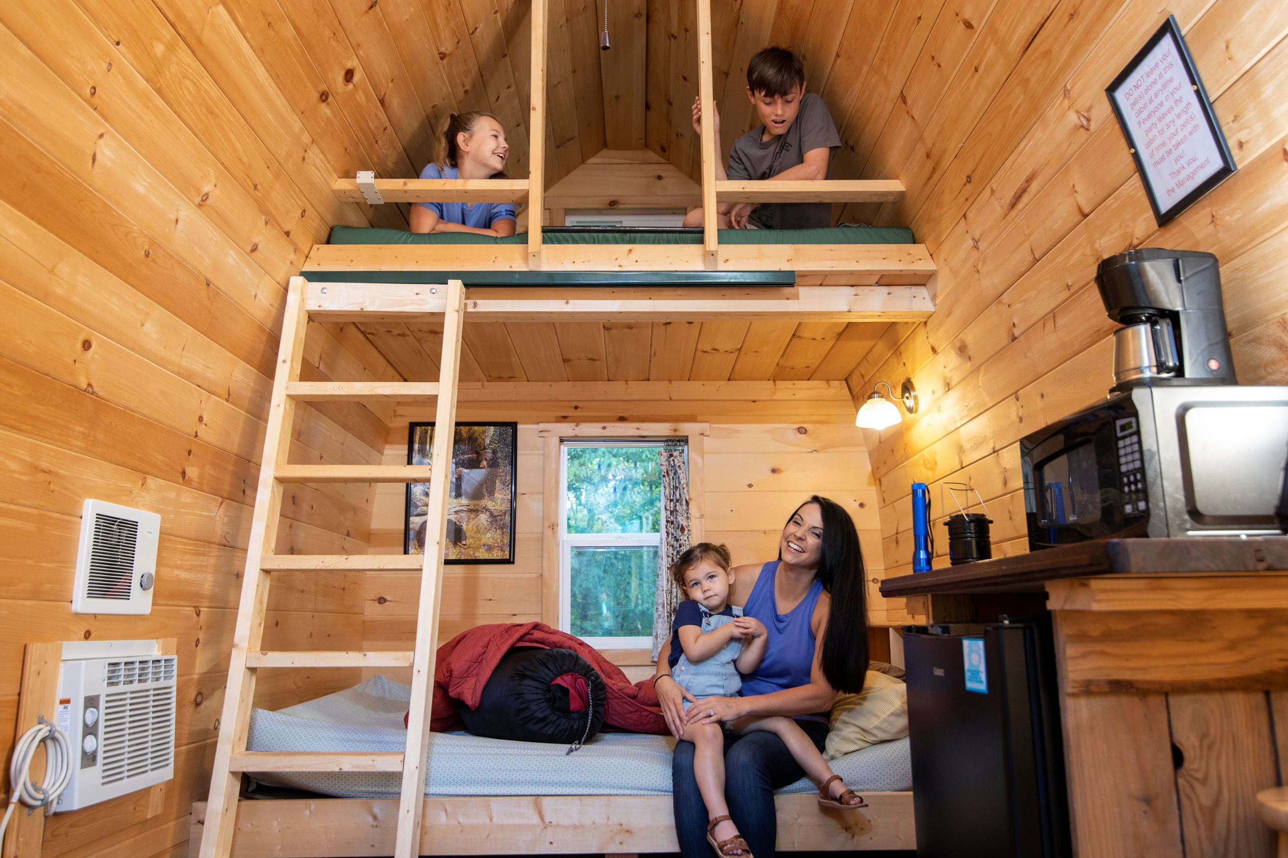 Cabin Interior Family 2