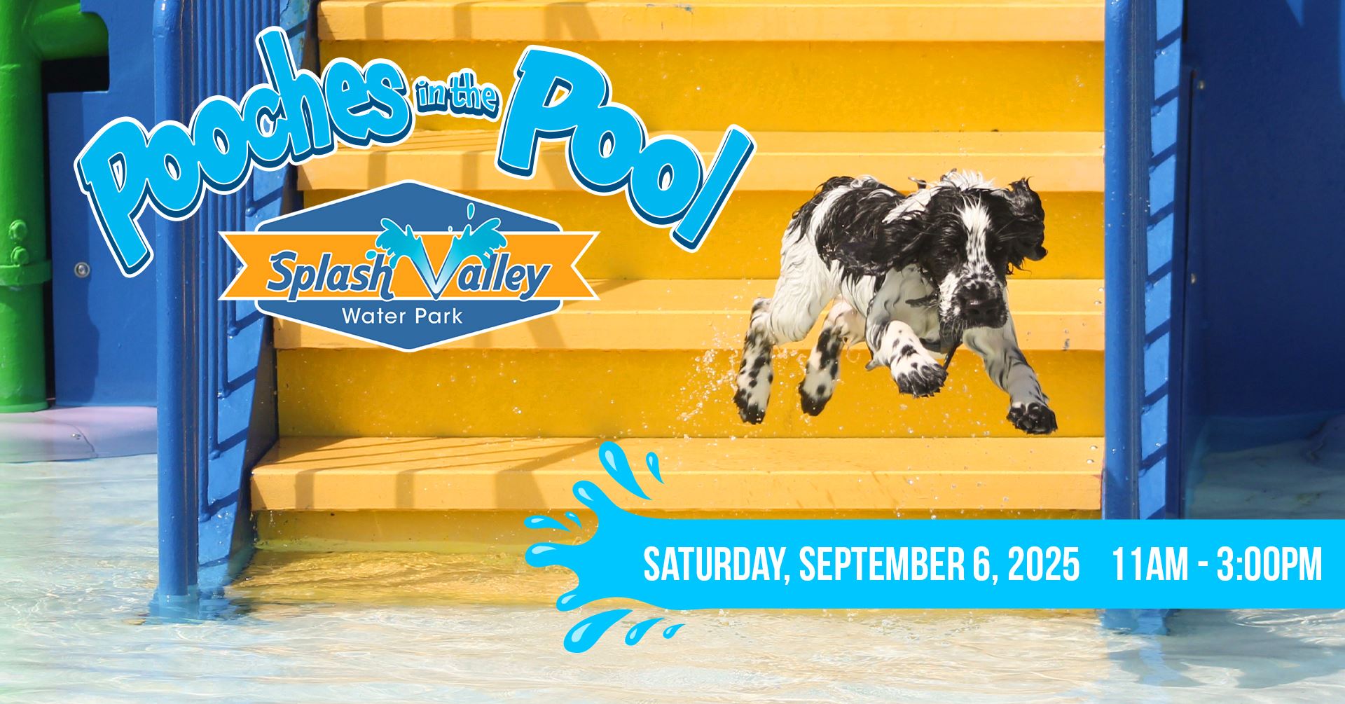 Pooches-In-The-Pool-Web-Graphic_2025